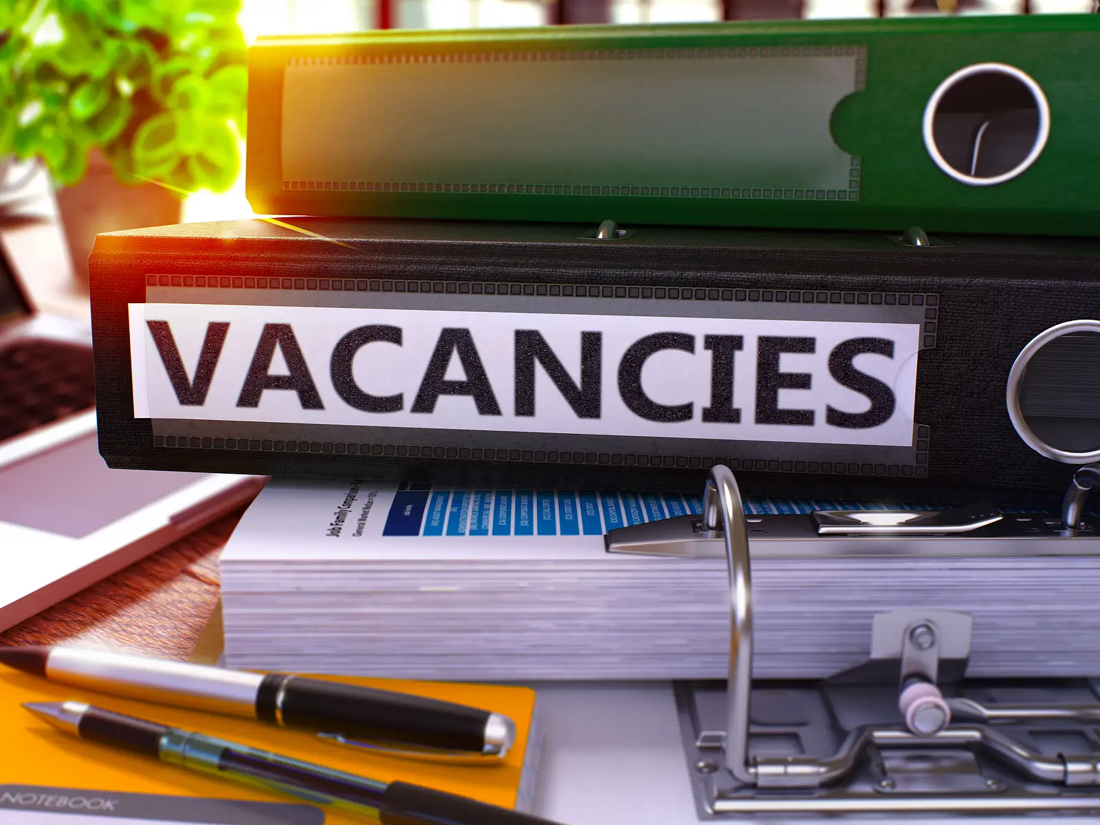 Reducing Rental Vacancy: Why Tenants Are Your Greatest Asset